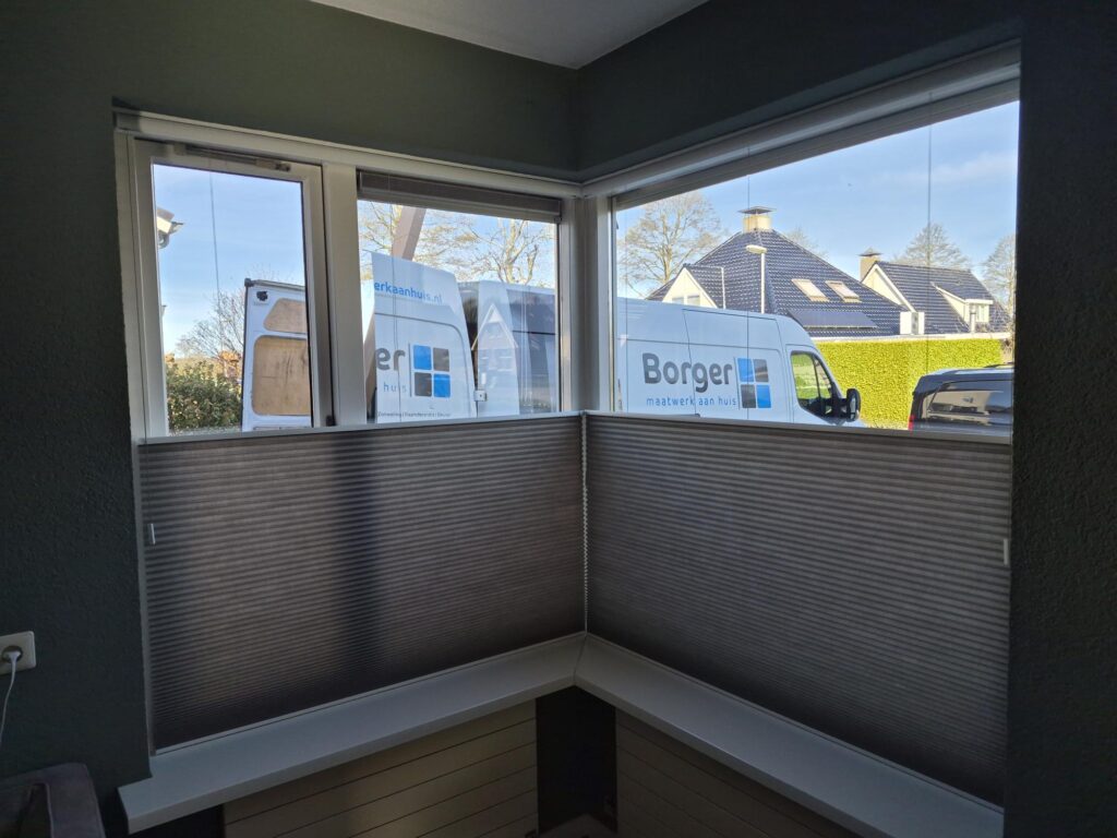 Duette raamdecoratie Surhuisterveen Toppoint Elan 107 smartcord